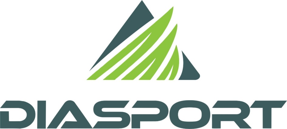Логотип компании diasport24